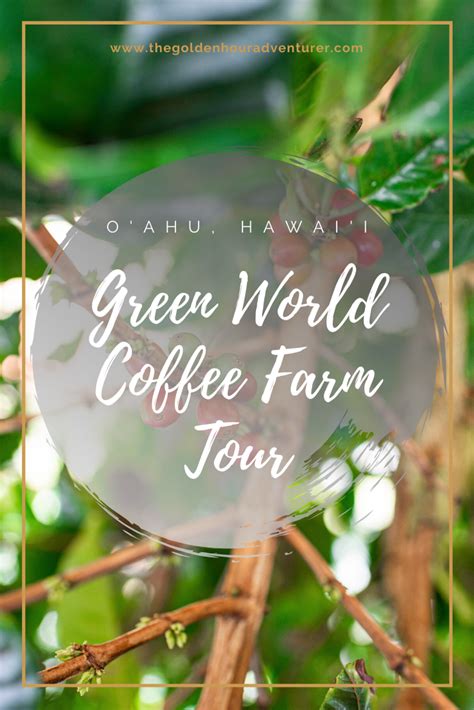 Touring The Green World Coffee Farm on Oahu | The Golden Hour Adventurer