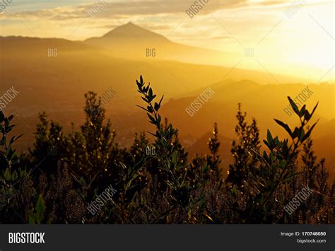 View On Mount Teide " Image & Photo (Free Trial) | Bigstock