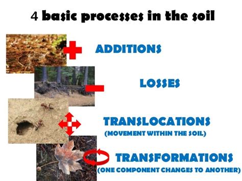 Soil formation-processes