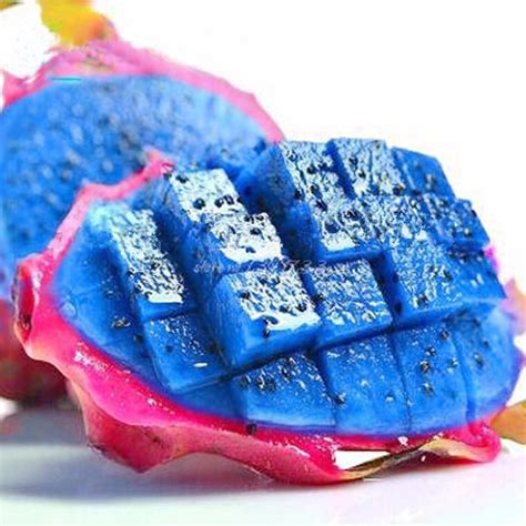 20 Sementes De Pitaya Azul - Fruta Do Dragão Para Teste - R$ 9,90 em Mercado Livre