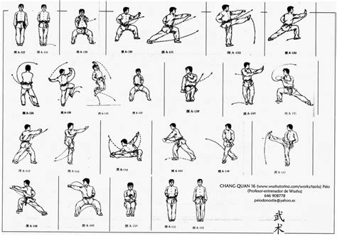 16-Chang Quan (Wushu Form) | Modern Wushu Wiki | Fandom | Wushu ...