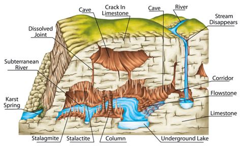 Cave Types - National Cave and Karst Research Institute