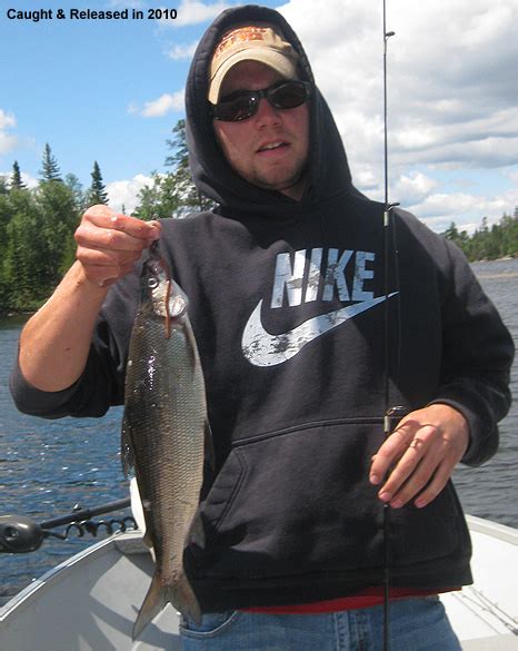 Ontario Whitefish Fishing