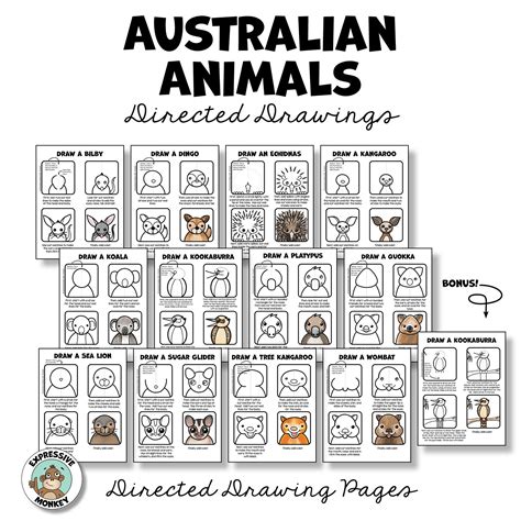 Australian Animal Drawing for Kids