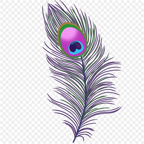 Peacock Feathers PNG Transparent, Calm Peacock Feather Clip Art ...