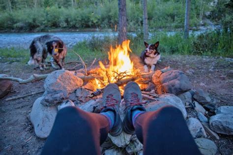 How to Have a Safe Campfire & Leave No Trace – Bearfoot Theory