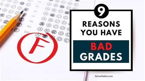 9 reasons you have bad grades - TAFE Online