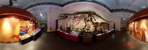 Australian Museum Carnivorous Dinosaurs 360 Panorama | 360Cities