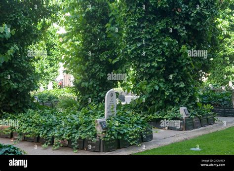 Memorial Garden for the Jews who where murdered during the Holocaust ...