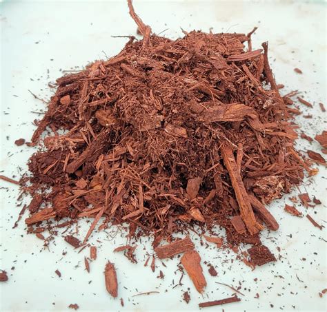 Natural Light Brown Dyed Mulch – Mendez Landscaping