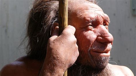 First Proof of Ancient Early Human Hybrid Found in Siberian Cave