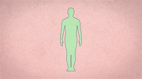 ted-ed animation GIF - Find & Share on GIPHY | Science gif, Gif, Human body