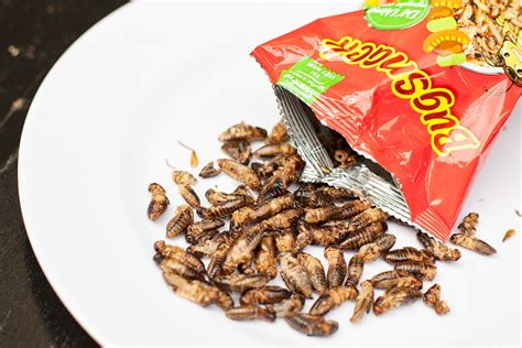 Chowing Down on Crickets: Vietnam’s First Mass-Market Edible Insect ...