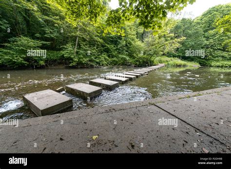 Bedlington Country Park, Bedlington, Northumberland, England Stock Photo - Alamy