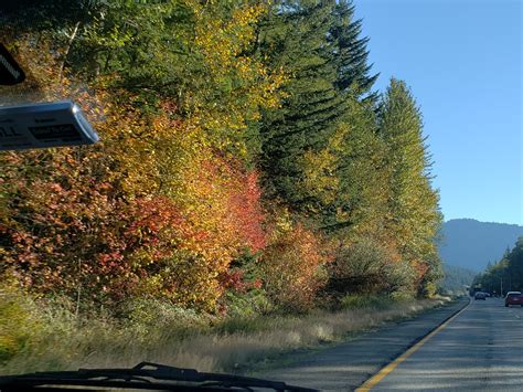 A Fall Hike on the Snow Lake Trail - Boating Journey