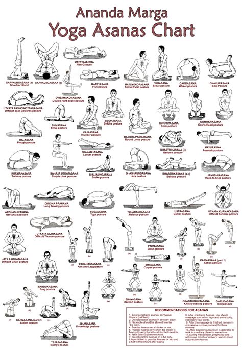 Asanas (yoga postures) | Ananda Marga: Meditation, Yoga and Social Service All Yoga Asanas, Yoga ...