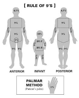 Paediatric Emergency Medicine: Minor Burns in Children