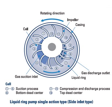 Liquid Ring Vacuum Pump