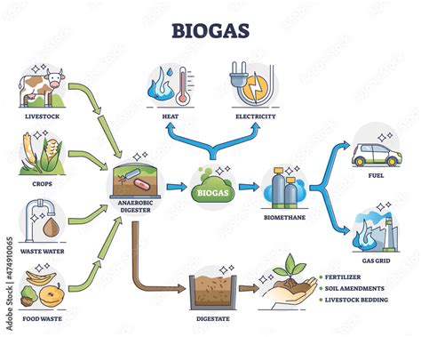 Biogas or bio gas division for energy consumption and sources outline ...