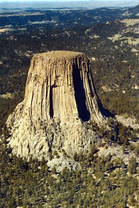 In the Company of Plants and Rocks: Devils Tower -- what’s on top?