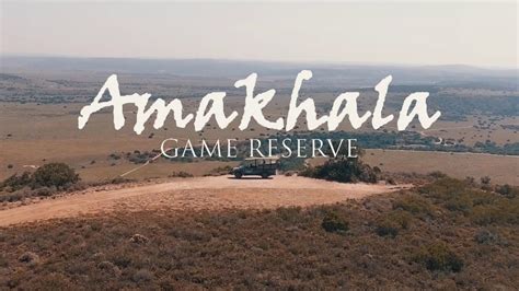 Private Game Reserve | Big 5 Safari - Amakhala