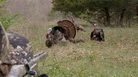 Realtree Turkey Hunting Wallpaper