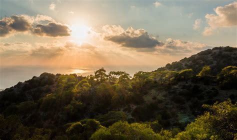 How the once-sprawling Mediterranean forests were destroyed - Earth.com