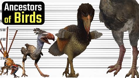 🦖 Before Birds: Unraveling the Ancestors of Avians! 🌍 - YouTube