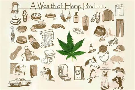 Top 50 Hemp Products You Can Get Online