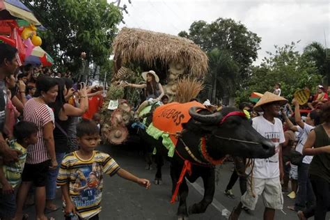 Carabao Festival in Northern Philippines