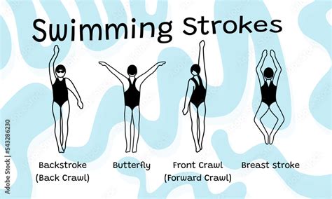 Swimming Strokes Stock Vector | Adobe Stock