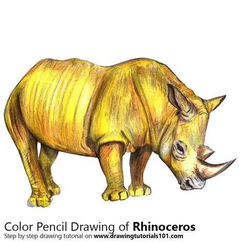 Rhinoceros Colored Pencils - Drawing Rhinoceros with Color Pencils ...