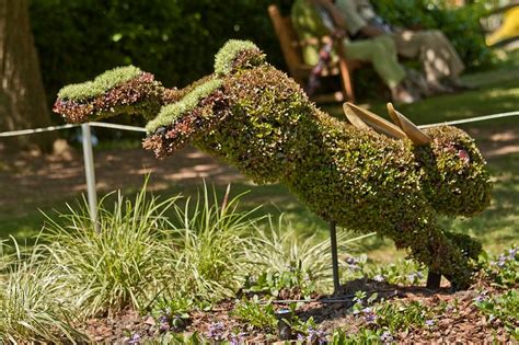 Atlanta Botanical Garden's Incredibly Amazing Plant Sculptures. | MOMENTS Journal