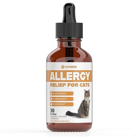 Cat Miliary Dermatitis Treatment 2024 - Vet Ranch - We Love Pets