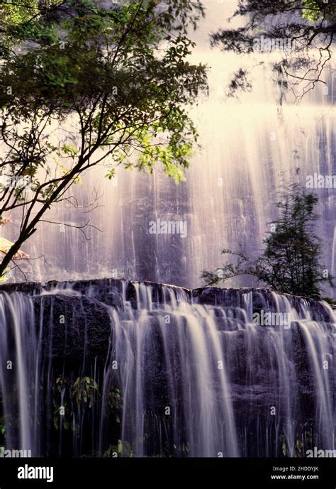 Russell Falls, Mount Field National Park, Tasmania, Australia Stock ...