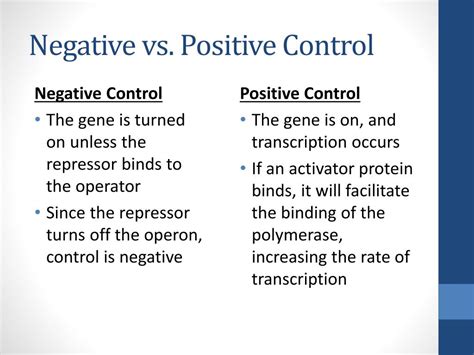 PPT - AP Biology Molecular Genetics PowerPoint Presentation, free download - ID:2206534