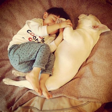 Dogs And Babies Sleeping Are What The World Needs Now | HuffPost Life