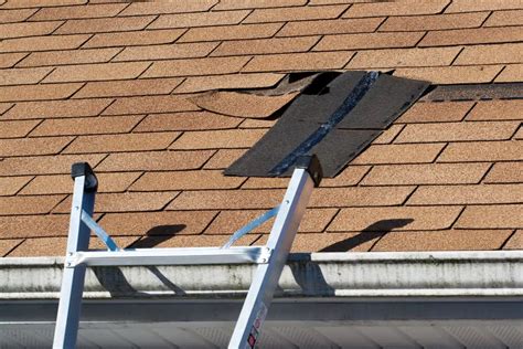 10 Roof Repair Care Tips Every Homeowner Should Know | Big Easy Roofing