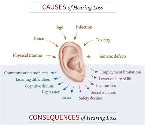 8 Causes of hearing loss?