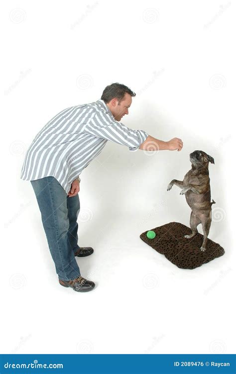 Pet Tricks stock photo. Image of tricks, isolated, owner - 2089476