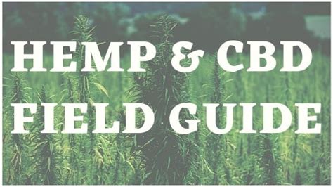 Hemp & CBD Uses, Benefits & Impact Guide | Hemp FAQs