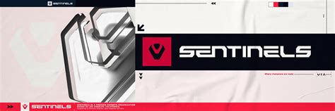 SENTINELS Project on Behance