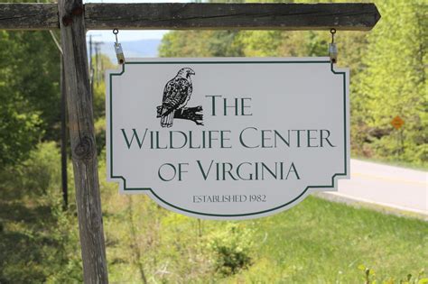 Wildlife Center of Virginia - Home