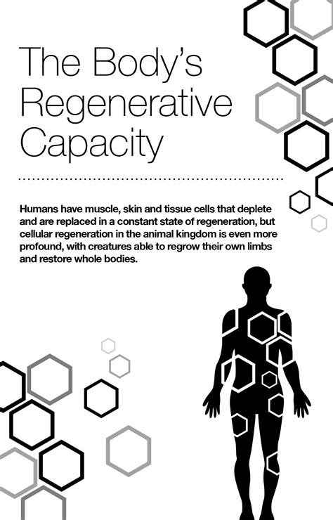 Cellular Regeneration: The Minute Mechanics of Healing and Longevity ...