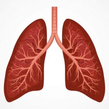 22 Causes of Cough - Understanding Acute and Chronic Cough in Adults