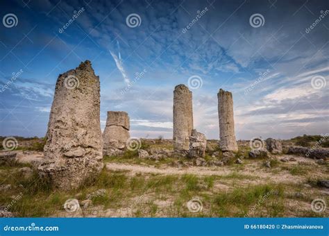 Stone Forest stock photo. Image of arrangement, natural - 66180420