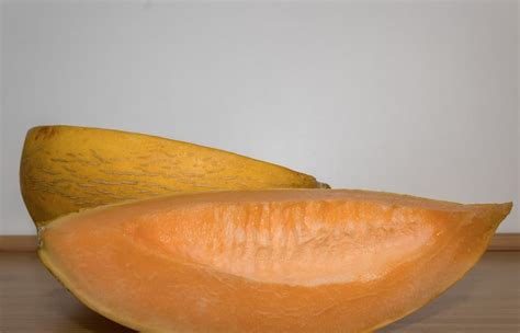 8 Cantaloupe Varieties (Common and Hybrid Varieties) - ChowTray