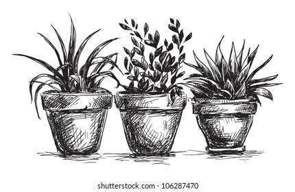 Flower Pot Sketch Stock Photos - 41,295 Images | Shutterstock