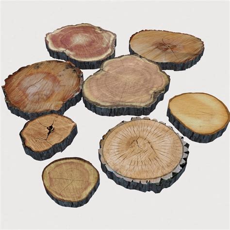 3D Wood Log Slices - TurboSquid 2096029