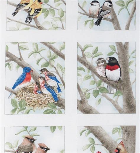 B 6 Block Panel Backyard Birds Chickadee Cardinal Quilt Squares Cotton Quilting | Animal art ...